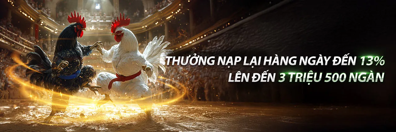 Sân đấu đá gà kịch tính tại DK88 Link Vào 2026