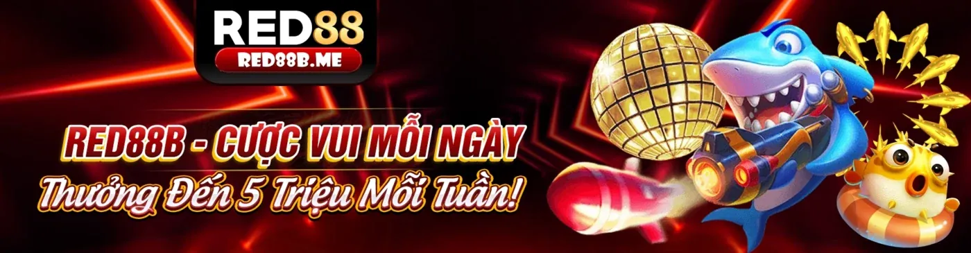 Hình ảnh đại diện cho Điều khoản Dịch vụ DK88, thể hiện sự chuyên nghiệp và an toàn.